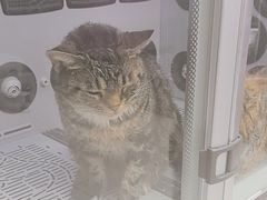 -FAELING PETS美天灵宠物(富力广场店)