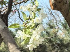 -元大都城垣遗址公园