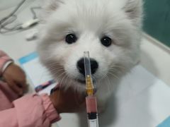 -严国平动物医院(德政总院)