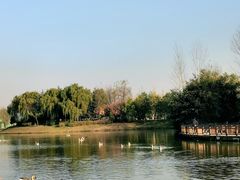 -西安浐灞国家湿地公园