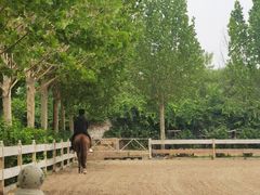 -北京群众马术培训基地