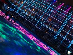 -锦江乐园舞狸花花游园会(夜场专享)