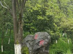 -常德桃花源景区