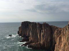 -枸杞岛