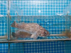 -宾朋海鲜饭庄(兴海路店)