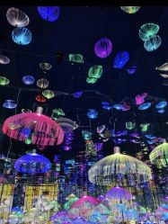 点击看大图 -萌兔星空蹦床撸兔馆
