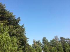 -南沙蒲洲花园