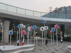 -府河摄影公园