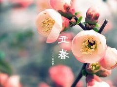 -蚝英雄·鲜蚝自助专门店(洋桥店)