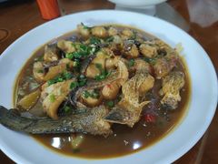 -全乐鱼馆·淳牌有机鱼直营店
