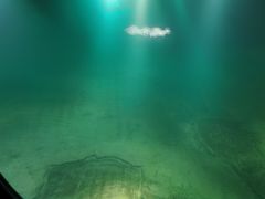 -白鹤梁水下博物馆