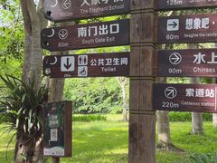 -野象谷景区