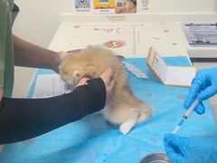 -达爱动物医院·犬猫分区·CT·复杂眼科(远洋山水分院)