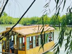 -泗洪洪泽湖湿地景区