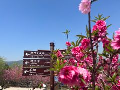 -北京西山国家森林公园