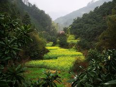 -新安江山水画廊风景区