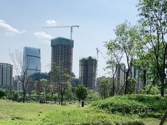 -桂溪生态公园