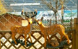 -萌宠亲子动物乐园(槐房万达店)