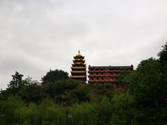 -大王油茶(磁器口店)