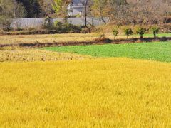 -罗田天堂寨风景区