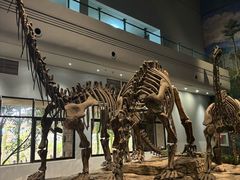 -自贡恐龙博物馆