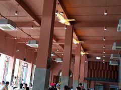 大堂-鹅城