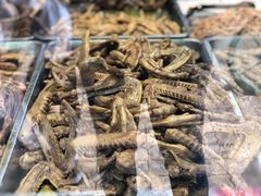 -王浩儿纪六孃甜皮鸭(乐山总店)