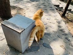 -北京十三陵国家森林公园蟒山景区