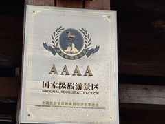 -大湾区中央湿地公园