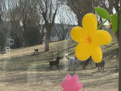 -小意思咖啡店(草桥店)