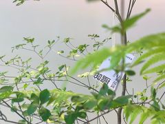 -fishtank鱼缸咖啡(三山街店)