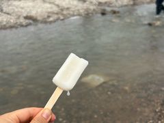 -绿堤公园