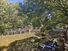 -普陀山风景名胜区-法雨禅寺