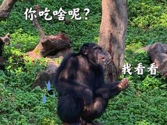 -广州长隆野生动物世界