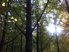 iphone_upload_pic-汉景帝阳陵博物院