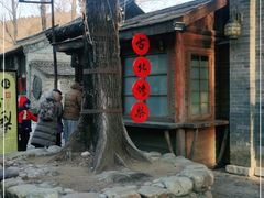 -古北烤梨