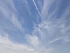 -空中草原