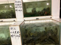 -海盗餐厅