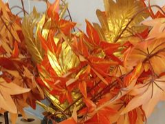 -君霖私家菜(春柳店)