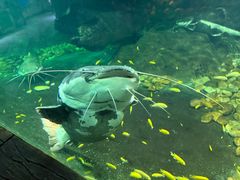 -嘉兴海底世界