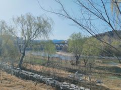 -济南国际园博园