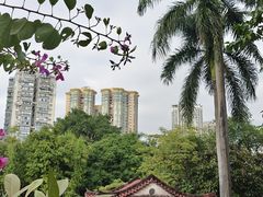 -晓港公园