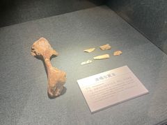 -大连自然博物馆