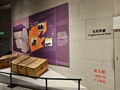 -北京周口店北京人遗址博物馆