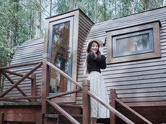 -黄海国家森林公园