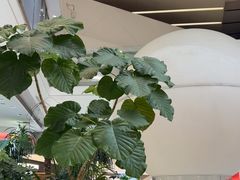 -枕水江南(铁西万象汇店)