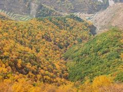 -灵山