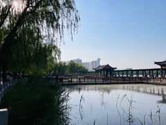 -莲花池公园