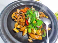 -鸽小宝(深圳首店)