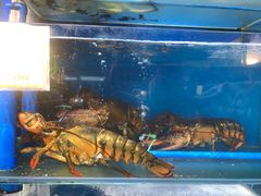-蚝专家(北滘店)